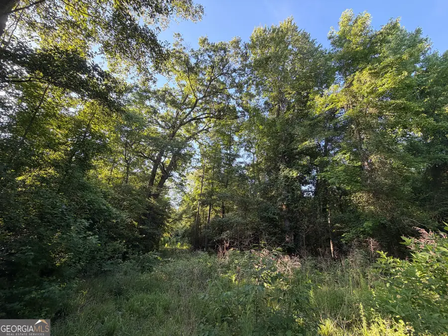 0 Branan Road, Toomsboro, GA 31090 - #2