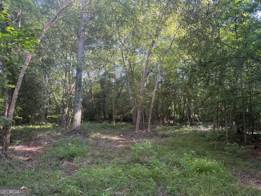0 Branan Road, Toomsboro, GA 31090 - #3