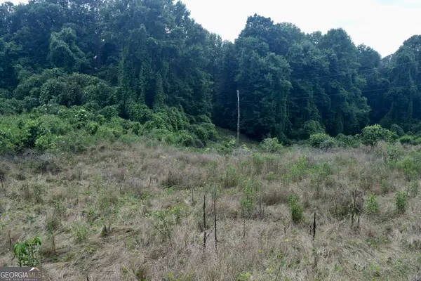 792 Lower Dowda Mill Road, Jasper, GA 30143