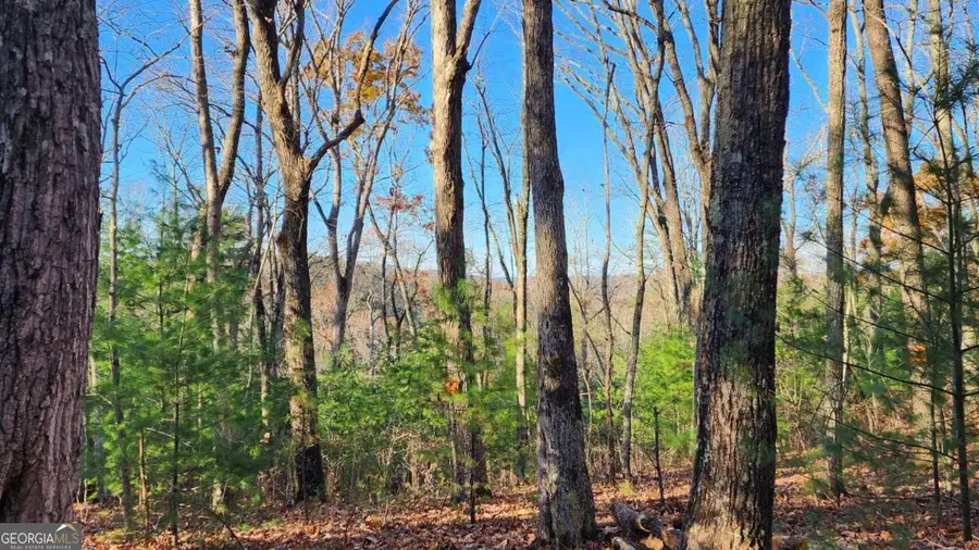 0 LOT 18 Meadowlands Drive, Talking Rock, GA 30175 - #3