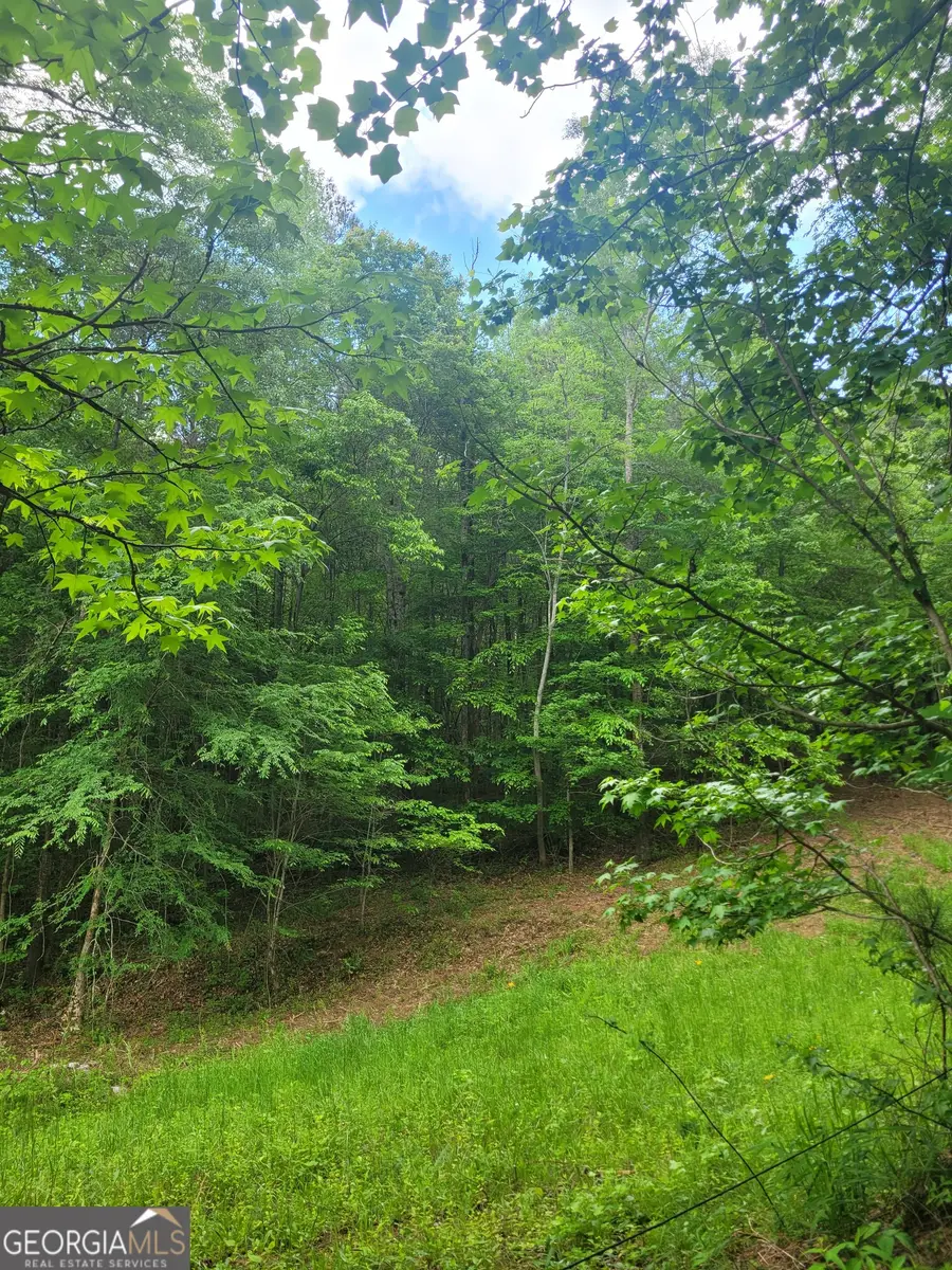 0 Fincherville Rd #TRACT 3, Jackson, GA 30233 - #2