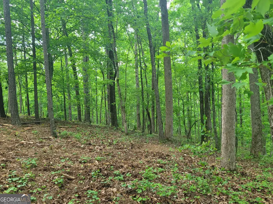 0 Fincherville Rd #TRACT 3, Jackson, GA 30233 - #3