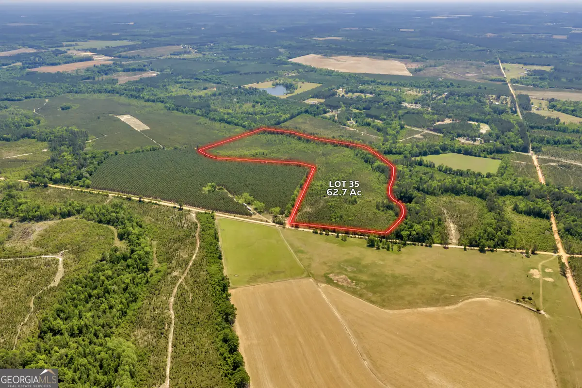 0 Snowhill Church Rd, Cadwell, GA 31009 - #1