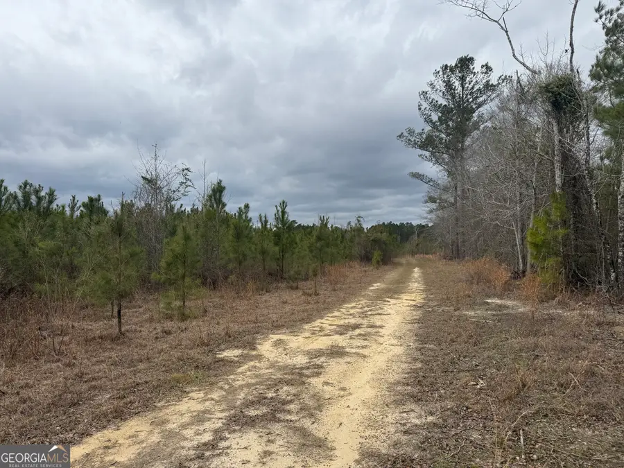 0 Snowhill Church Rd, Cadwell, GA 31009 - #3