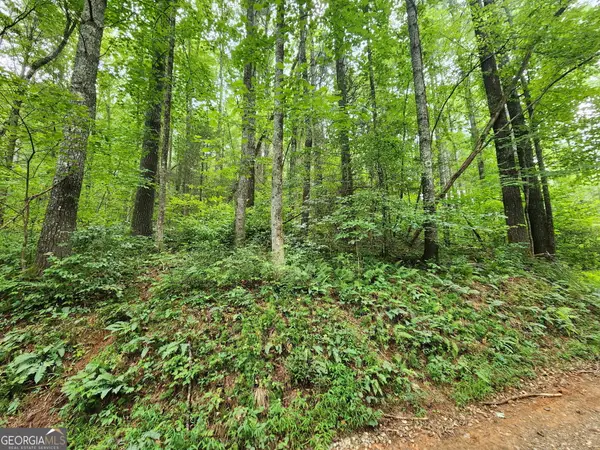 TRACT 2B Poplar Cove Trail, Suches, GA 30572