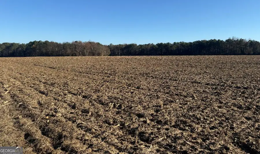0 Whitfield Road, Elko, GA 31025 - #2