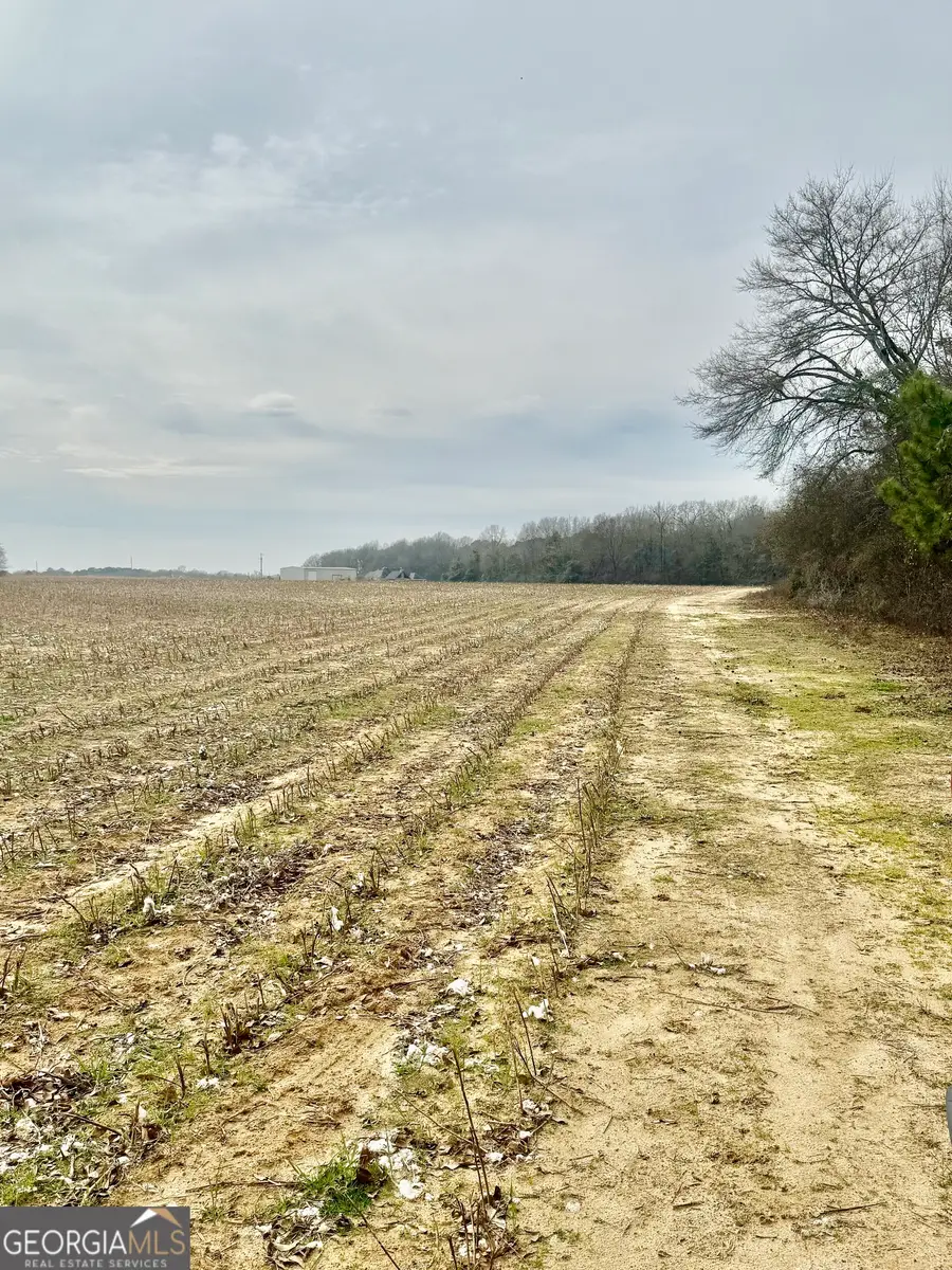 0 Whitfield Road, Elko, GA 31025 - #3