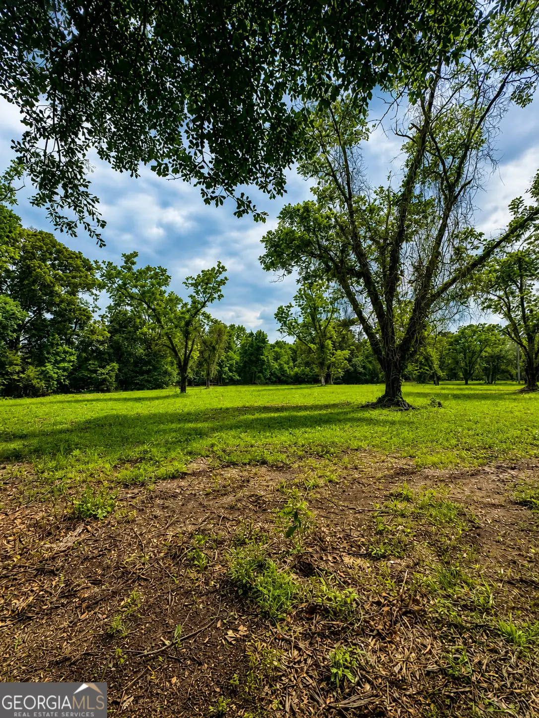0 Salem Road #3, Pine Mountain, GA 31822 - #1