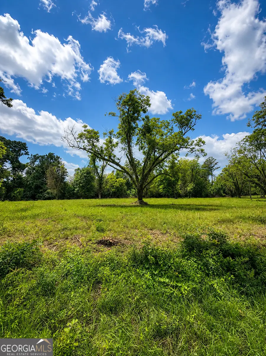 0 Salem Road #3, Pine Mountain, GA 31822 - #3