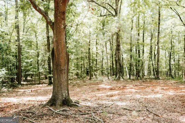 2605 Union Point Road, Union Point, GA 30669