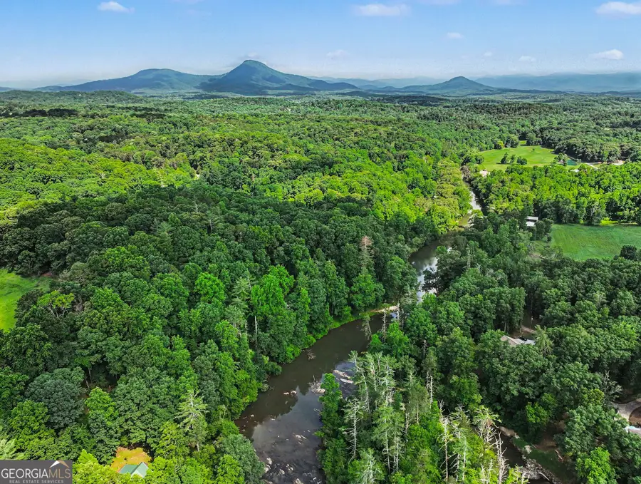 1008 River Estates Road, Cleveland, GA 30528 - #2