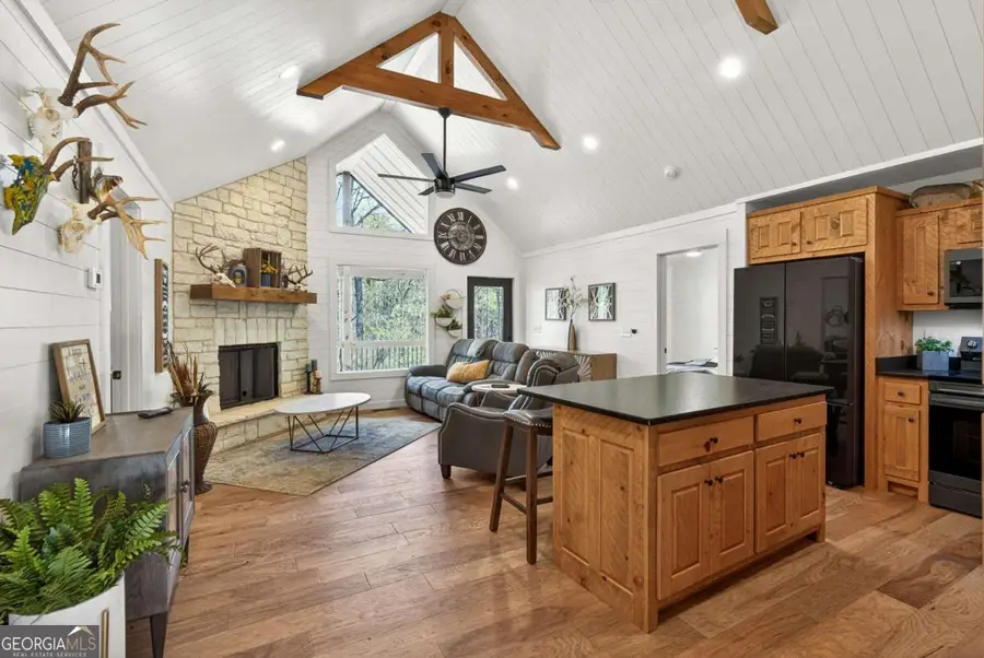 54 Barbs Way, Mineral Bluff, GA 30559 - #2