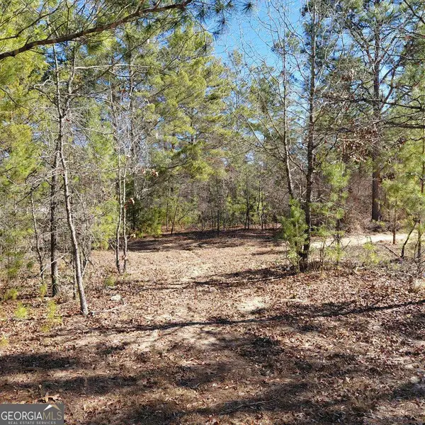 100 Sparrow Drive, Box Springs, GA 31801