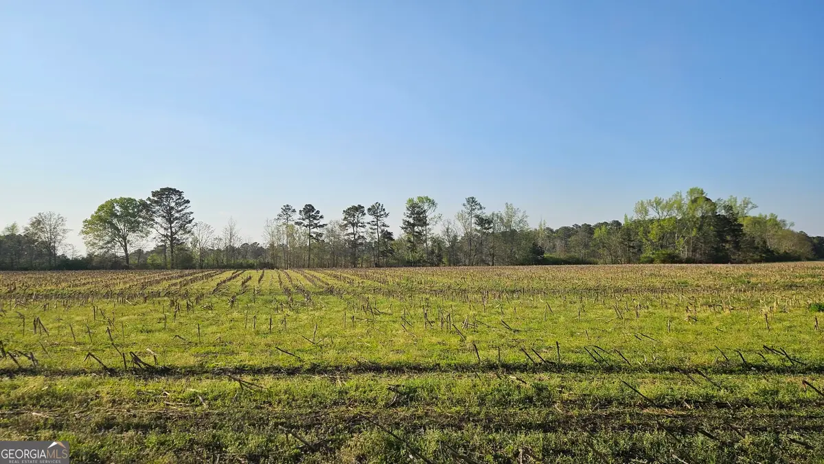 0 Shiloh Road, Greensboro, GA 30642 - #1