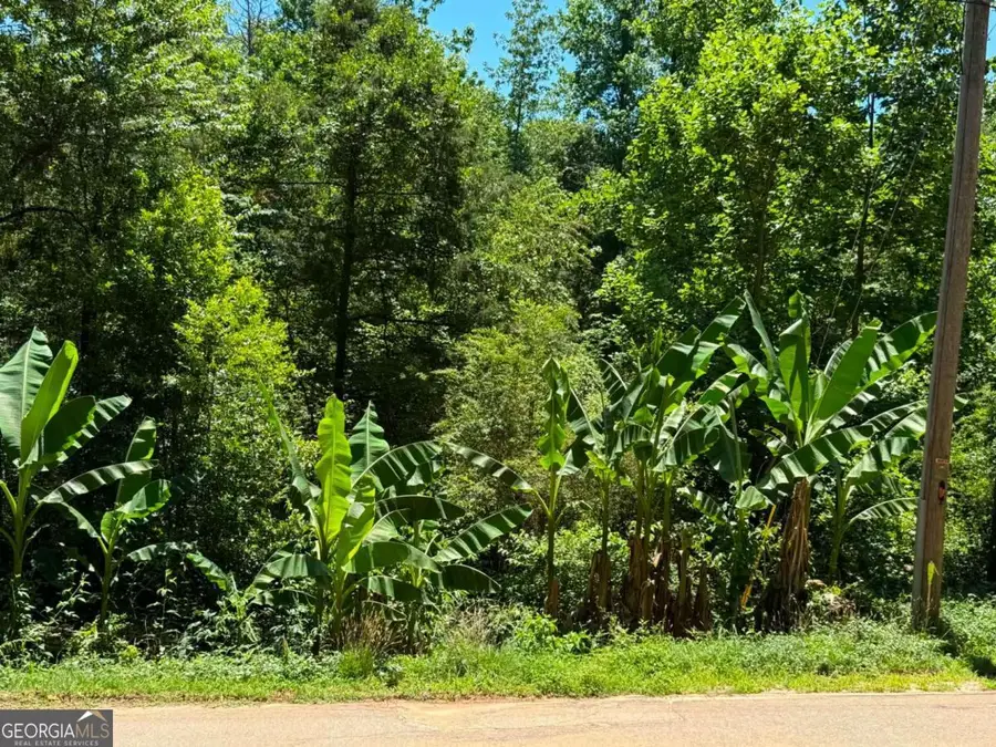 0 Lakeshore Road, Martin, GA 30557 - #2