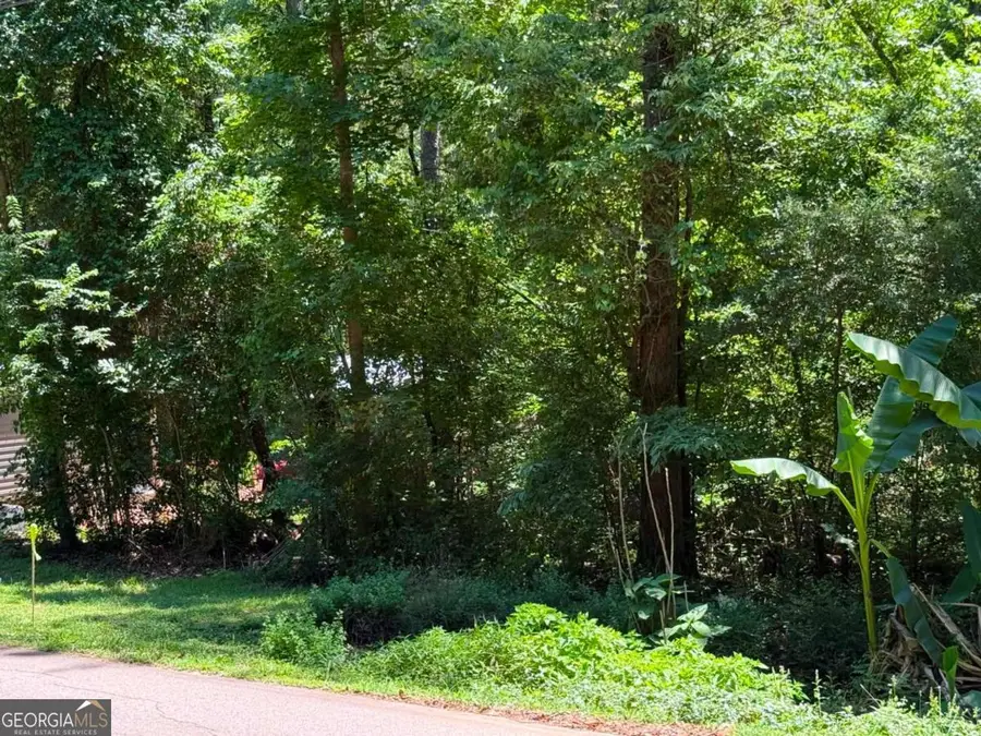 0 Lakeshore Road, Martin, GA 30557 - #3