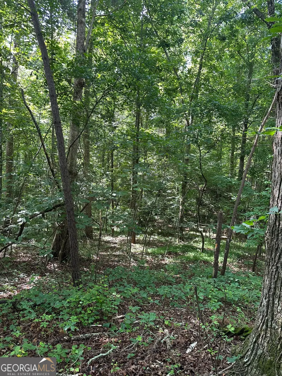 0 View Street, Clarkesville, GA 30523 - #2