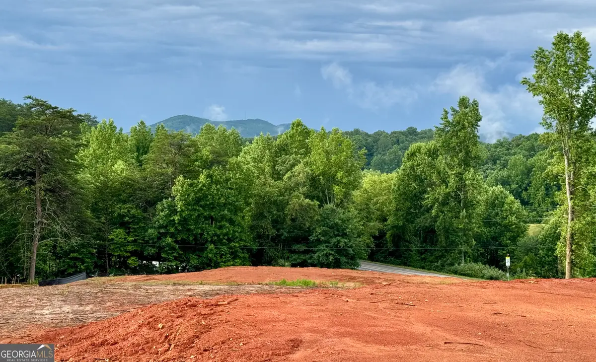 25 Caudell Drive, Cleveland, GA 30528 - #1