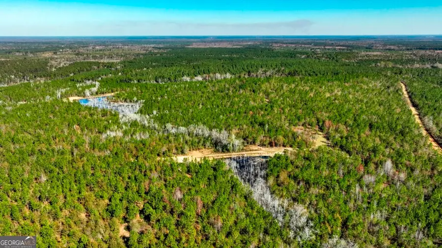 0 Morton Road, Dublin, GA 31021 - #2