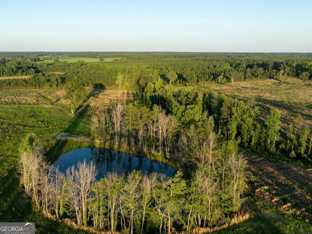 005 Beulah Road Tract 5, Sylvania, GA 30467 - #1