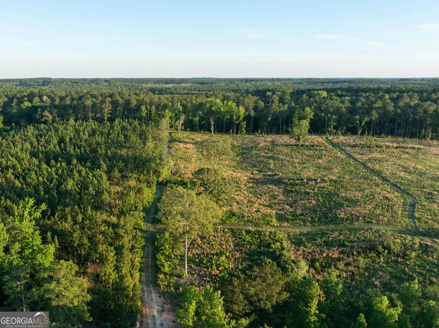 005 Beulah Road Tract 5, Sylvania, GA 30467 - #2