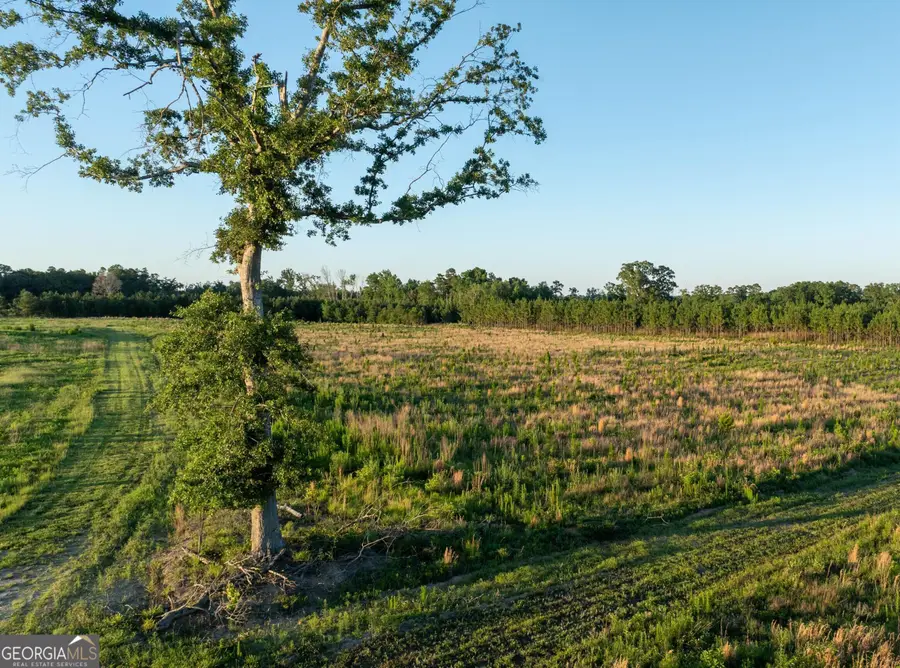 005 Beulah Road Tract 5, Sylvania, GA 30467 - #3