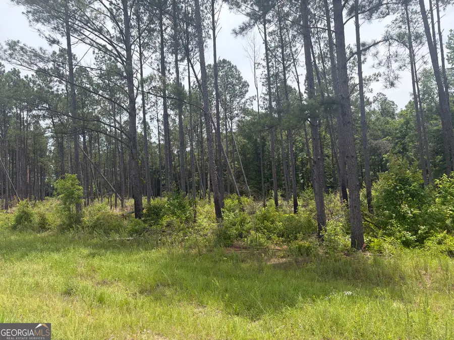 1 Sunhill Grange Road, Davisboro, GA 31018 - #3