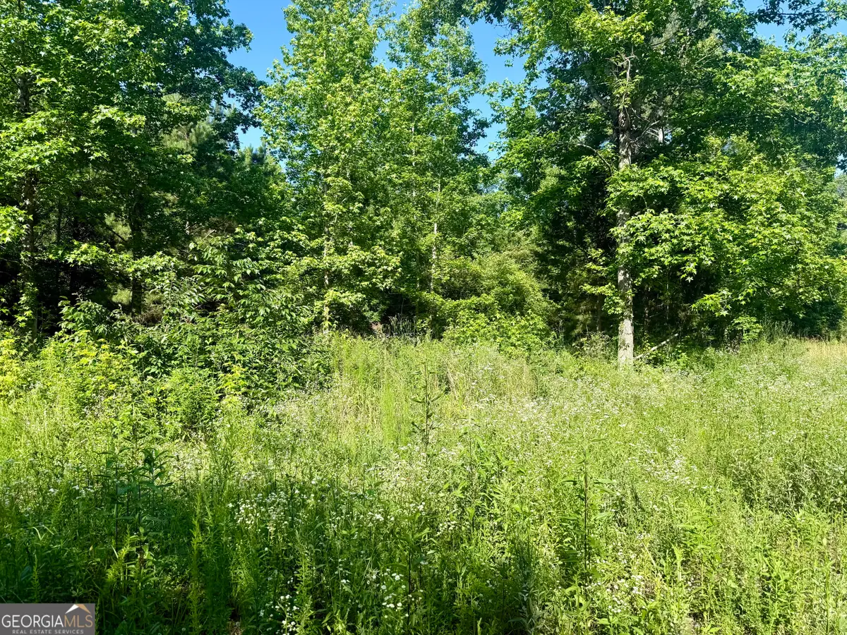 249 Weems Road, Lyerly, GA 30730 - #1