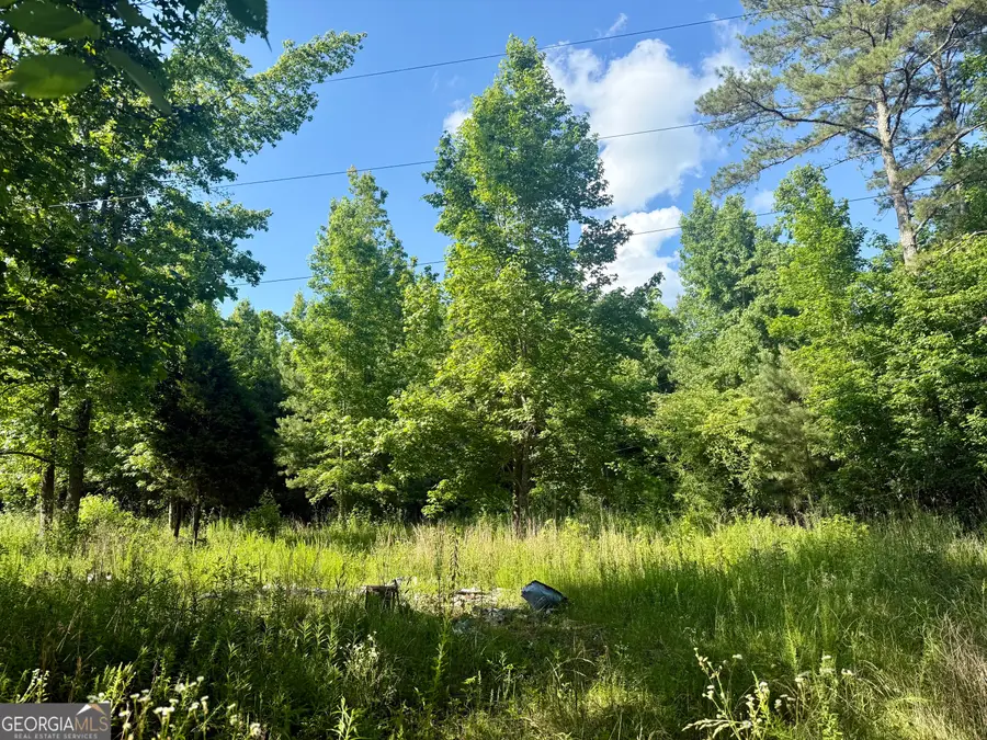 249 Weems Road, Lyerly, GA 30730 - #2