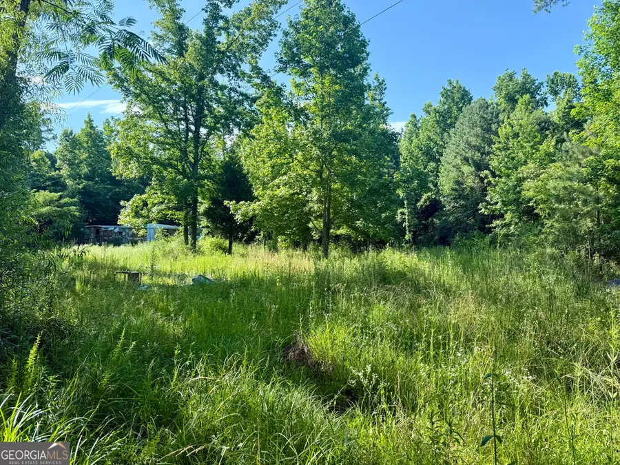 249 Weems Road, Lyerly, GA 30730 - #3