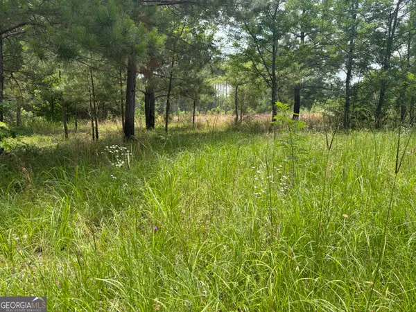 6 Sunhill Grange Road, Davisboro, GA 31018