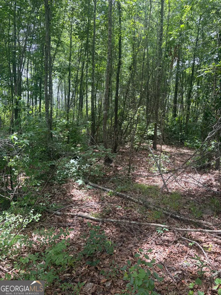 8 Sunhill Grange Road, Davisboro, GA 31018 - #2