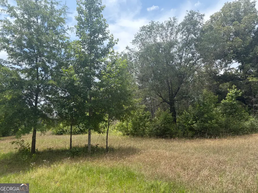 8 Sunhill Grange Road, Davisboro, GA 31018 - #3