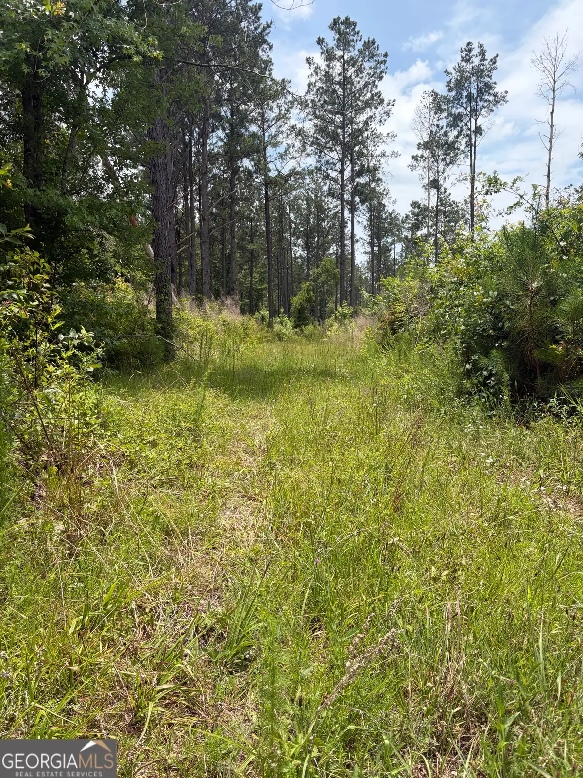 9 Sunhill Grange Road, Davisboro, GA 31018 - #1