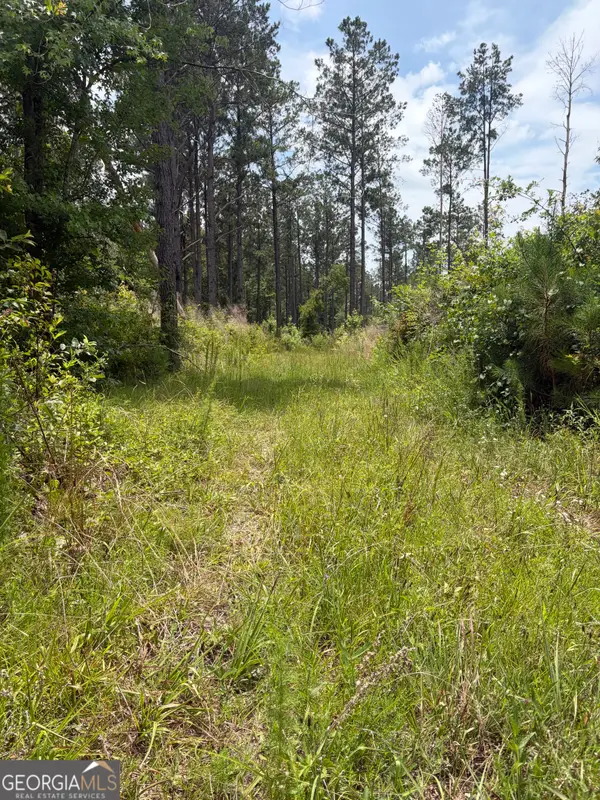 9 Sunhill Grange Road, Davisboro, GA 31018