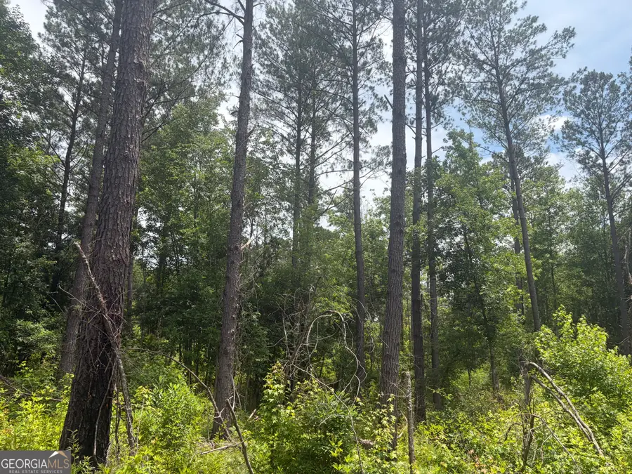 10 Sunhill Grange Road, Davisboro, GA 31018 - #2