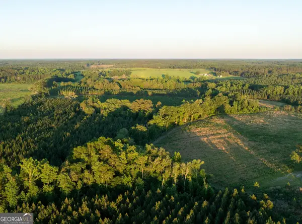 004 Beulah Road Tract 4, Sylvania, GA 30467