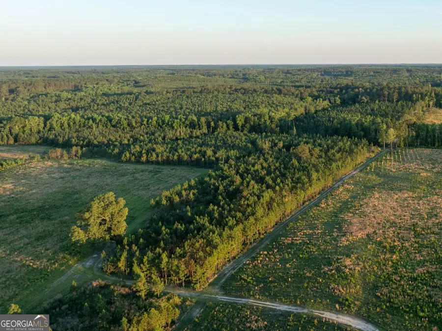 004 Beulah Road Tract 4, Sylvania, GA 30467 - #2