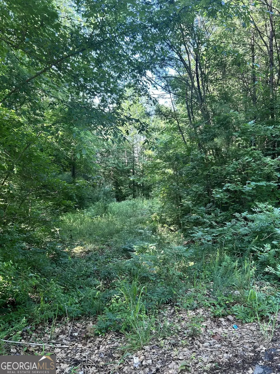 36 Lake Top Drive Se, Cartersville, GA 30121 - #3