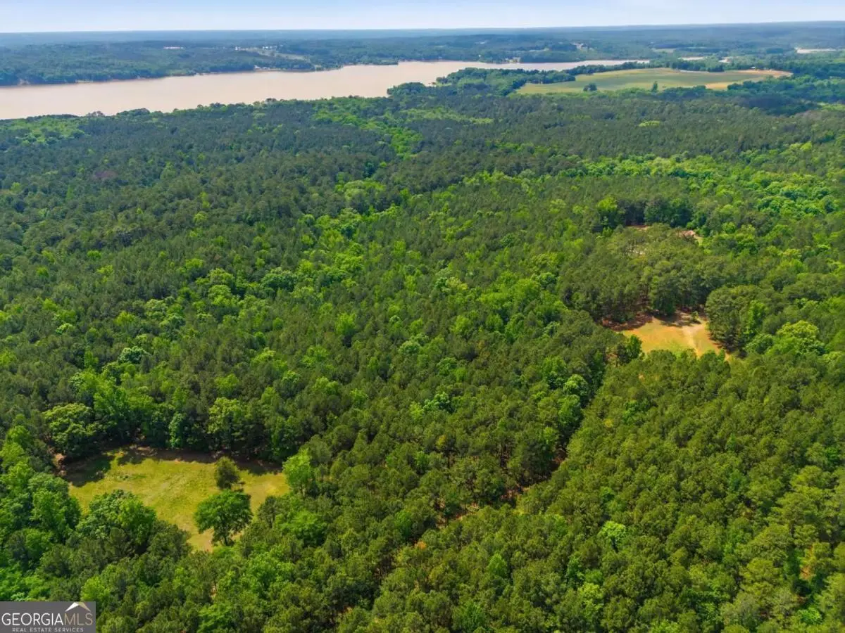 2630 Cold Springs Road, Greensboro, GA 30642 - #1