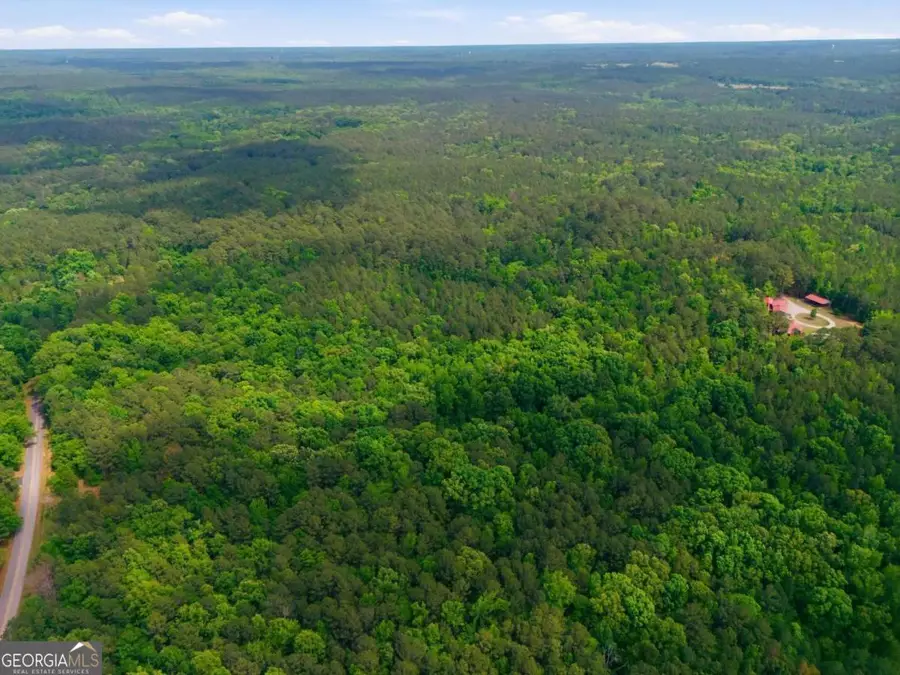 2630 Cold Springs Road, Greensboro, GA 30642 - #3