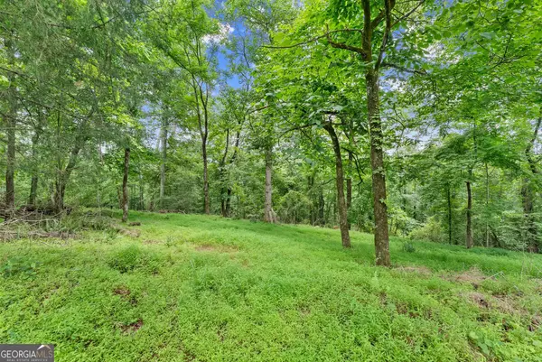 LOT 35 Lakemont Trail, Demorest, GA 30535
