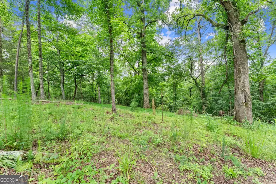 LOT 35 Lakemont Trail, Demorest, GA 30535 - #3