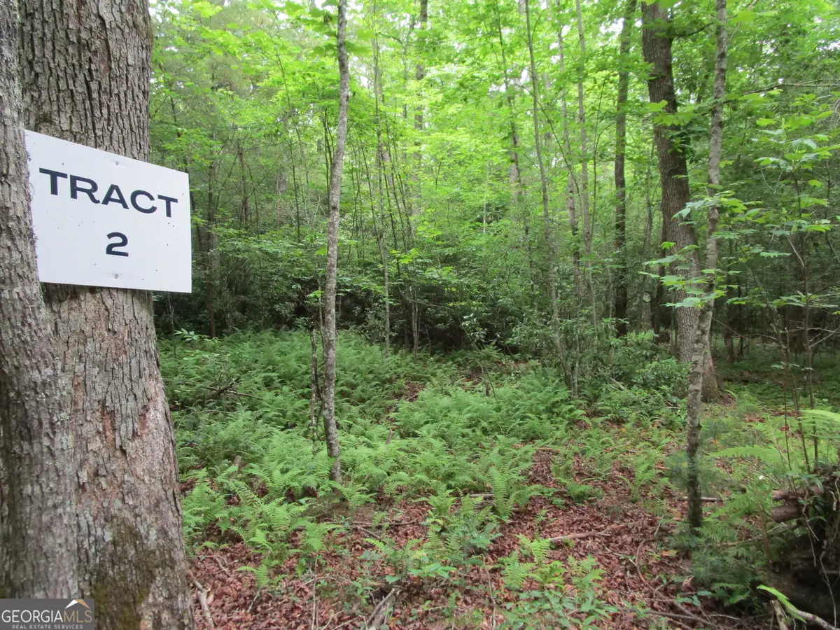 TRACT 2 E New Hope Road, Ellijay, GA 30536 - #1