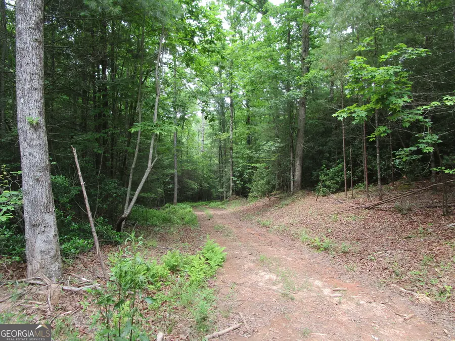 TRACT 2 E New Hope Road, Ellijay, GA 30536 - #3