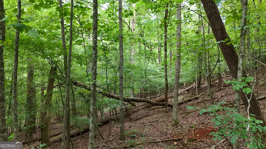 LOT 16 Morris Trail, Cleveland, GA 30528 - #2