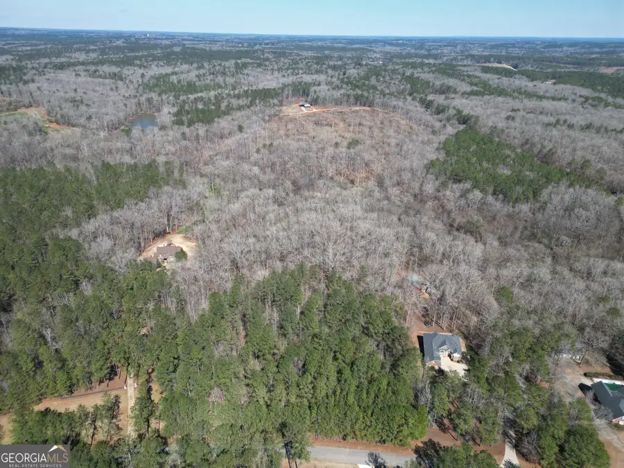 1186 River Walk, Forsyth, GA 31029 - #3