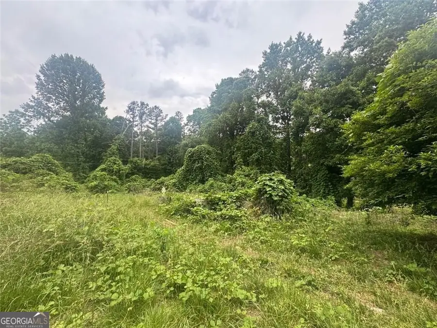 1460 Sam Nelson Road, Canton, GA 30114 - #3