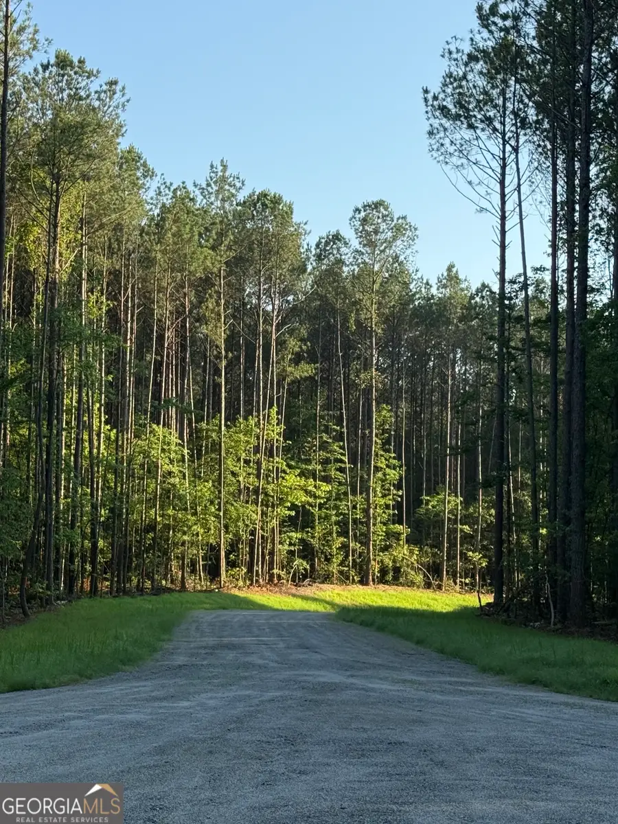 0 Benelli Ridge #15, Sharpsburg, GA 30277 - #3