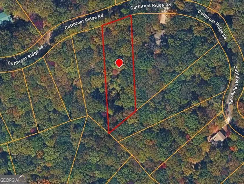 0 Cutthroat Ridge, Jasper, GA 30143 - #2